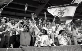 25.05.88 PSV Eindhoven - Benfica Lissabon