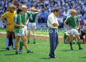 FIFA WM 1986