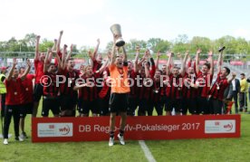 wfv-Verbandspokal Finale 2015/2016 Spfr Dorfmerkingen - Stuttgarter Kickers