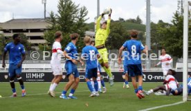 14.09.24 U17 VfB Stuttgart - U17 TSG 1899 Hoffenheim