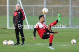 VfB Stuttgart Training