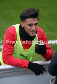 VfB Stuttgart Training