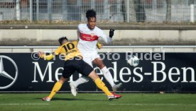 VfB Stuttgart - SG Dynamo Dresden