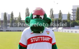23.08.24 U17 VfB Stuttgart Fototermin Saison 2024/2025