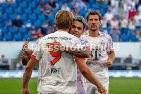 20.09.25 TSG 1899 Hoffenheim - FC Bayern M&uuml;nchen