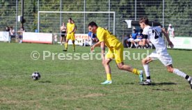 23.08.26 TSV Ph&ouml;nix Steinsfurt - SV Tiefenbach