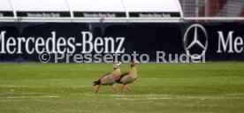 21.01.24 VfB Stuttgart Training