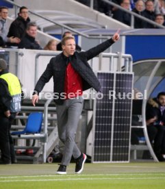 TSG 1899 Hoffenheim - Manchester City