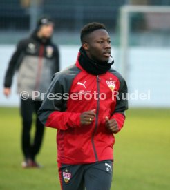 VfB Stuttgart Training