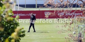VfB Stuttgart Training