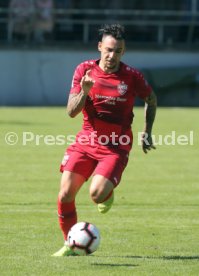 Young Boys Bern - VfB Stuttgart