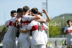06.04.24 U17 VfB Stuttgart - U17 TSG 1899 Hoffenheim