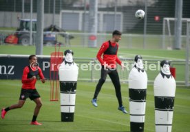 VfB Stuttgart Training