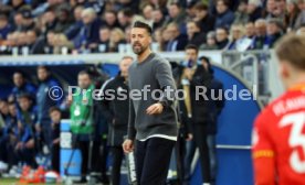 29.11.25 TSG 1899 Hoffenheim - FC Augsburg