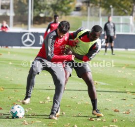 VfB Stuttgart Training