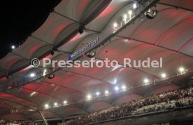22.09.23 VfB Stuttgart - SV Darmstadt 98