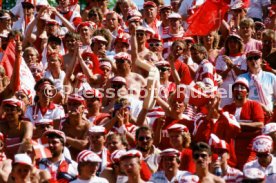 14.06.88 Deutschland - D&auml;nemark