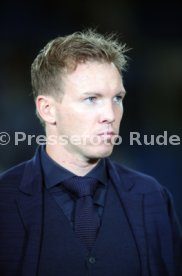 TSG 1899 Hoffenheim - Olympique Lyon