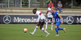 14.07.21 VfB Stuttgart - SV Darmstadt 98