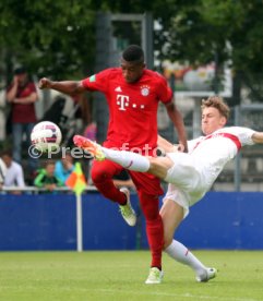 U 17 VfB Stuttgart - U17 FC Bayern M&uuml;nchen