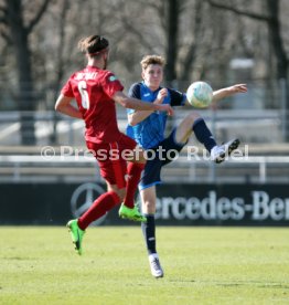 U 17 VfB Stuttgart - U19 TSG 1899 Hoffenheim