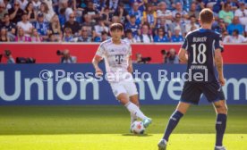 20.09.25 TSG 1899 Hoffenheim - FC Bayern M&uuml;nchen