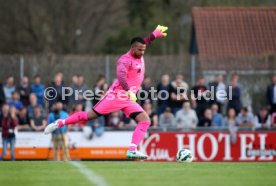 Tim Wiese (SSV Dillingen)