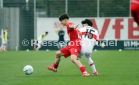 29.03.25 U17 VfB Stuttgart - U17 1. FC Köln