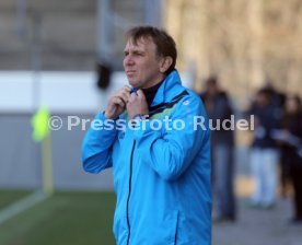 VfB Stuttgart II - SV Waldhof Mannheim