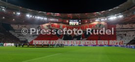 29.01.26 VfB Stuttgart - Young Boys Bern