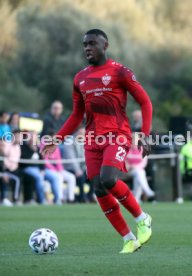 VfB Stuttgart - FC Basel