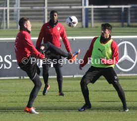 VfB Stuttgart Training