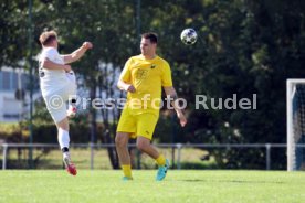 23.08.26 TSV Ph&ouml;nix Steinsfurt - SV Tiefenbach