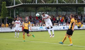 SG Dynamo Dresden - VfB Stuttgart