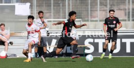 08.03.25 U17 VfB Stuttgart - U17 Eintracht Frankfurt