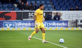 08.12.24 TSG 1899 Hoffenheim - SC Freiburg
