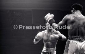 05.03.88 Boxen Rene Weller