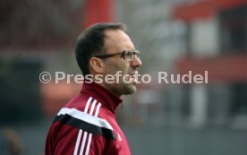 U19 VfB Stuttgart