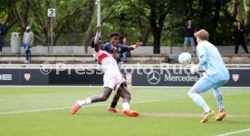 03.05.25 U17 VfB Stuttgart - U17 1. FSV Mainz 05