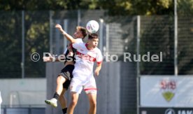 21.09.24 U19 VfB Stuttgart - U19 SV Elversberg