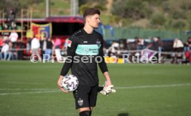 VfB Stuttgart - FC Basel