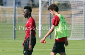 VfB Stuttgart Training