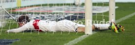 VfB Stuttgart - Hannover 96