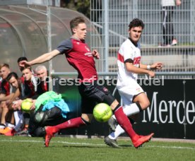 U19 VfB Stuttgart - U19 1. FC N&uuml;rnberg