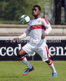 U 17 VfB Stuttgart - U19 1. FC Kaiserslautern