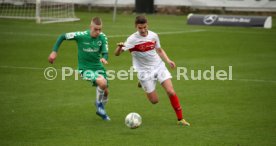 U19 VfB Stuttgart - U17 SpVgg Greuther Fürth