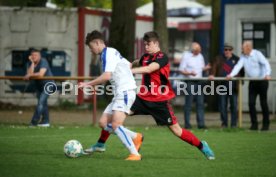 U 17 Karlsruher SC - U17 SC Freiburg