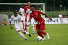 FC Z&uuml;rich - VfB Stuttgart
