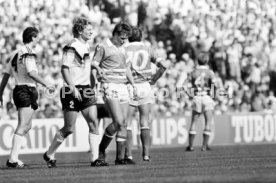 14.06.88 Deutschland - D&auml;nemark