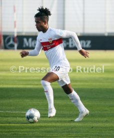VfB Stuttgart - SG Dynamo Dresden